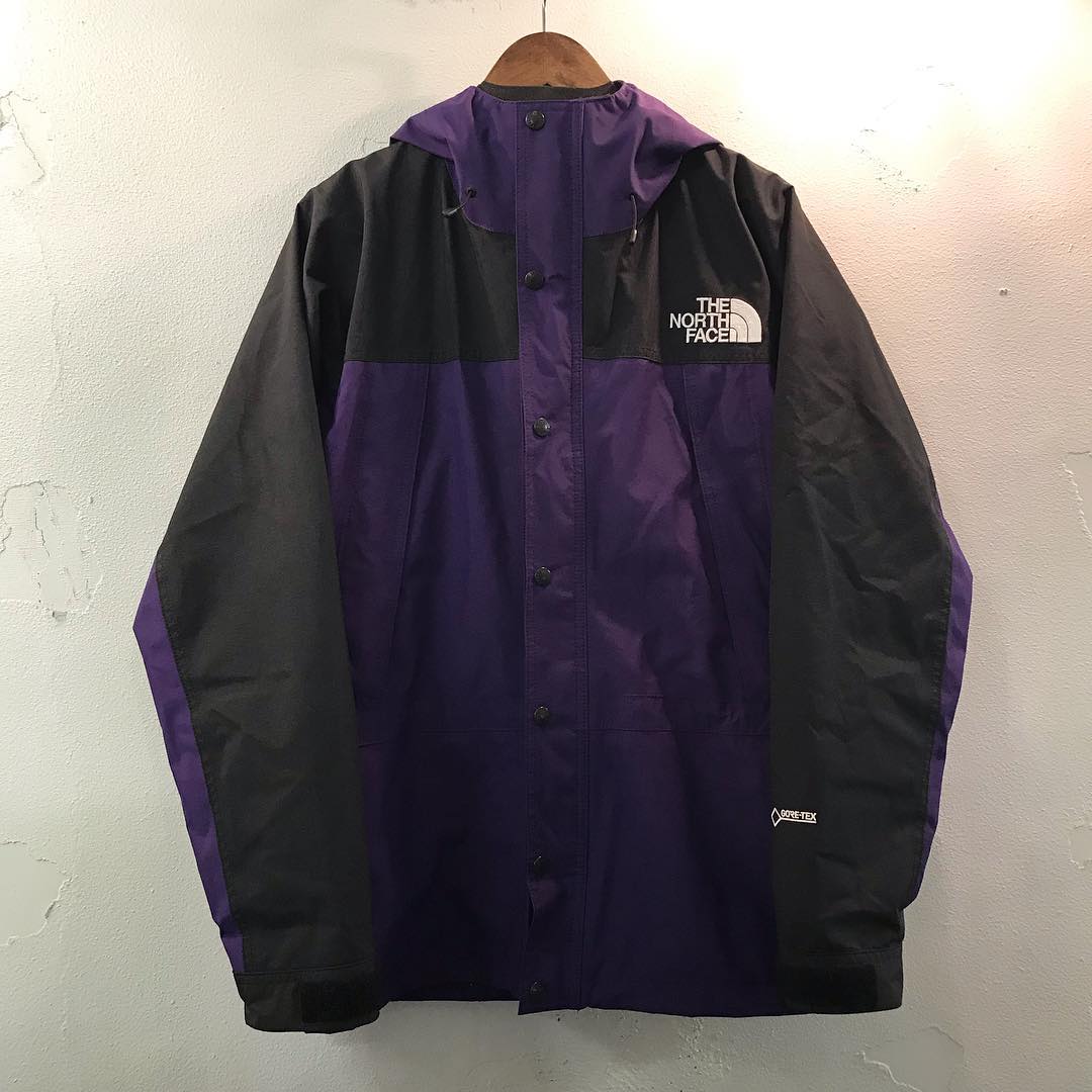 THE NORTH FACE 19SS MOUNTAIN LIGHT JACKET